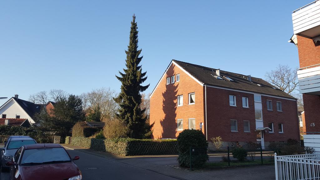Munstersdachstubchen Apartment Bilik gambar